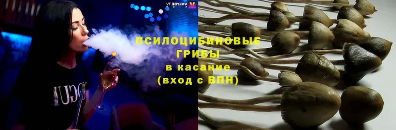 где найти наркотики  Таганрог  Галлюциногенные грибы MAGIC MUSHROOMS 